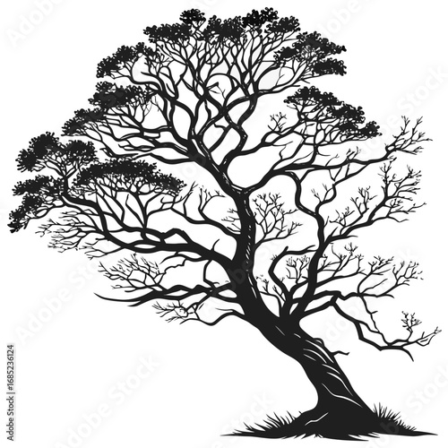 A detailed black and white silhouette of a tree with many branches and a slightly leaning trunk design created with generated ai