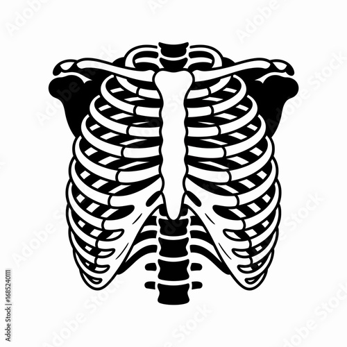 x ray of human spine