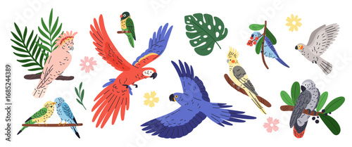 Parrots types. Exotic tropical birds, different poses, flying and sitting, bright color plumage, wild life, funny pets on branches, macaw, cockatoo and ara garish vector cartoon flat isolated set