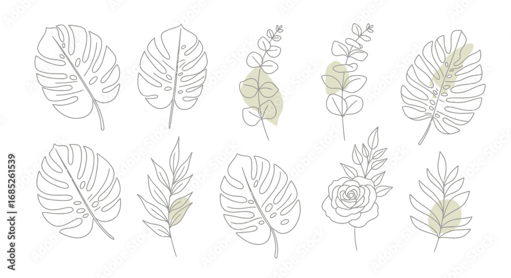 Obraz premium Set of minimalist botanical line art illustrations with monstera, eucalyptus, and rose elements on a white background