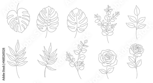 Elegant set of botanical line art illustrations with minimalist drawings of Monstera leaves, Eucalyptus branches, and delicate roses