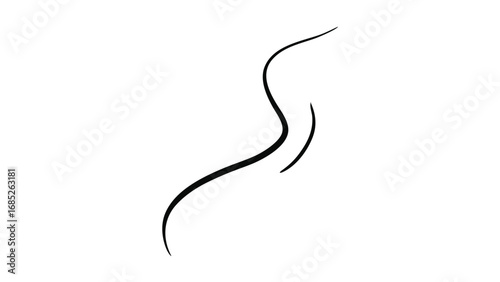 Simple Black Abstract Curved Line on White Background brush stroke calligraphic