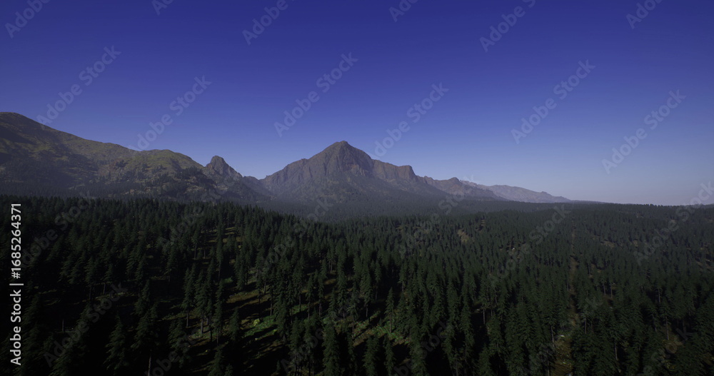 Fototapeta premium Tall mountains dominate the landscape, surrounded by a lush green forest. The sun shines brightly on the peaks, creating a serene and tranquil atmosphere.
