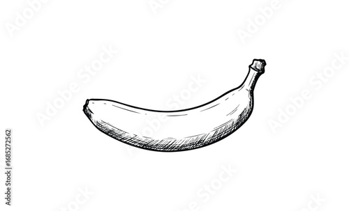 Hand-drawn black and white banana sketch. Vector retro hand drawn illustration