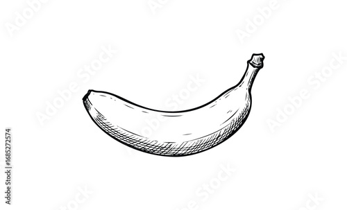 Detailed black and white sketch of a single banana. Vector retro hand drawn illustration