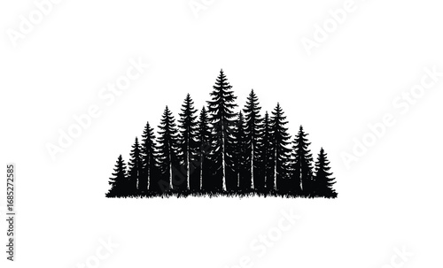 Silhouette of pine tree forest. Vector retro hand drawn illustration