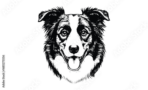 Detailed black and white illustration of a happy border collie dog face. Vector retro hand drawn illustration