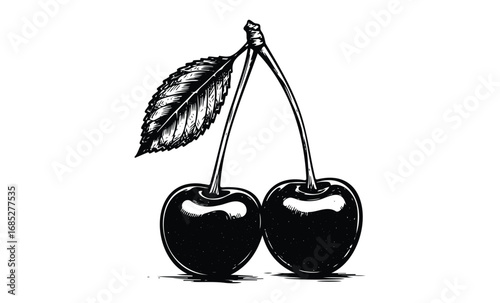 Vintage style black and white illustration of two cherries with leaf. Vector retro hand drawn illustration