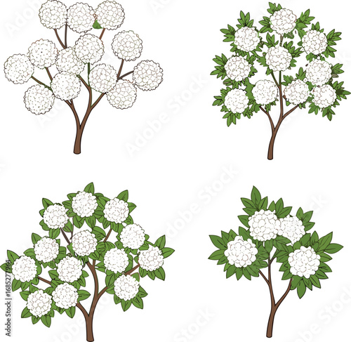White flowering plant illustration, botanical vector drawing, garden bloom clipart, floral silhouette, green leaves, nature design, spring blossom art, decorative plant graphic, isolated