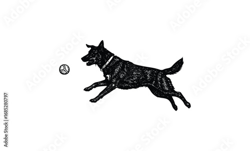 Black dog playing fetch with ball in engraved style illustrative artwork. Vector retro hand drawn illustration