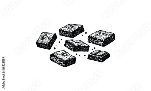 Assorted chocolate brownies and pieces with texture and detail. Vector retro hand drawn illustration