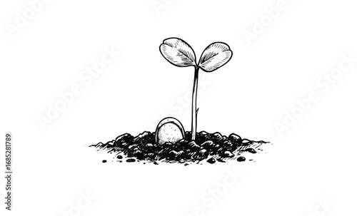 Black and white illustration of seedling growing from soil with leaves. Vector retro hand drawn illustration