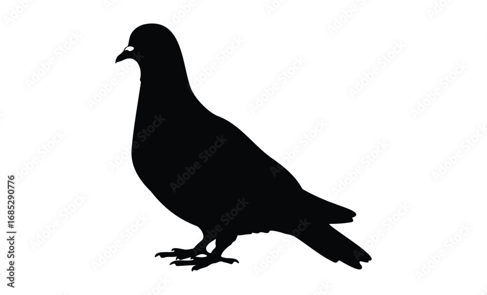 Fototapeta premium Silhouette of standing pigeon. Vector retro hand drawn illustration
