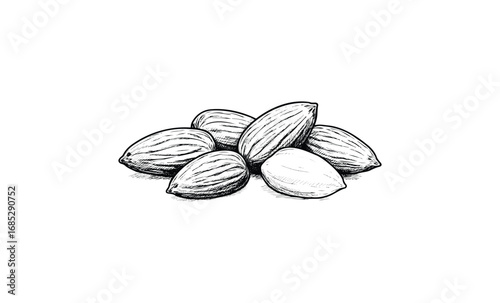 Black and white sketch of almonds clustered together. Vector retro hand drawn illustration