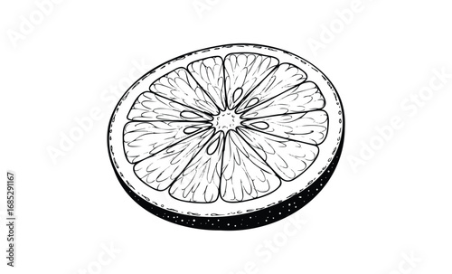 Black and white sketch of a grapefruit half with detailed interior lines. Vector retro hand drawn illustration