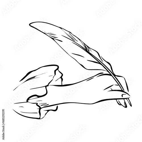 Elegant hand with lace sleeve holding a feather quill. Vector illustration in quickly sketch line art style for romantic literature and poetry projects, vintage bookish designs, prints. Book lover