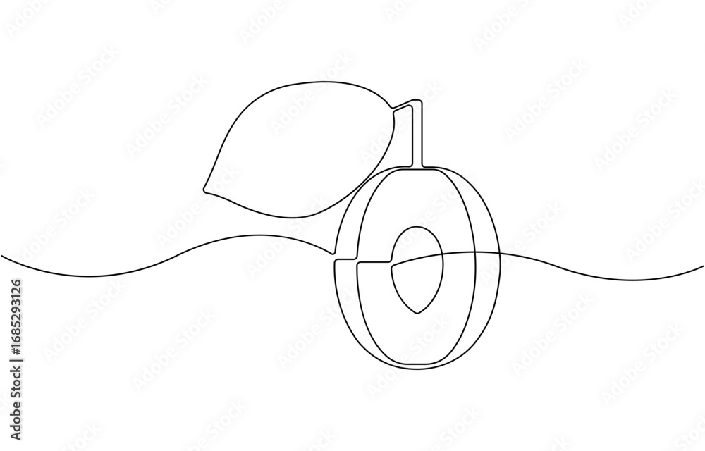 Obraz premium Apricot fruit showing seed inside drawing illustration .