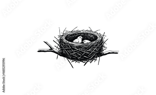 Monochrome nest with baby birds and twigs on branch. Vector retro hand drawn illustration
