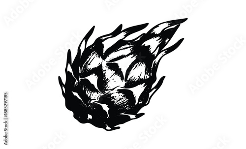 Monochrome artistic illustration of a dragon fruit in black and white. Vector retro hand drawn illustration