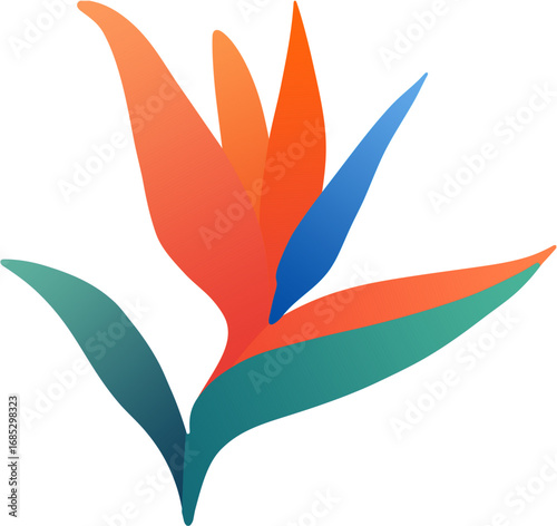 A colorful bird of paradise flower and leaf vector illustration forms a beautiful, natural floral design
