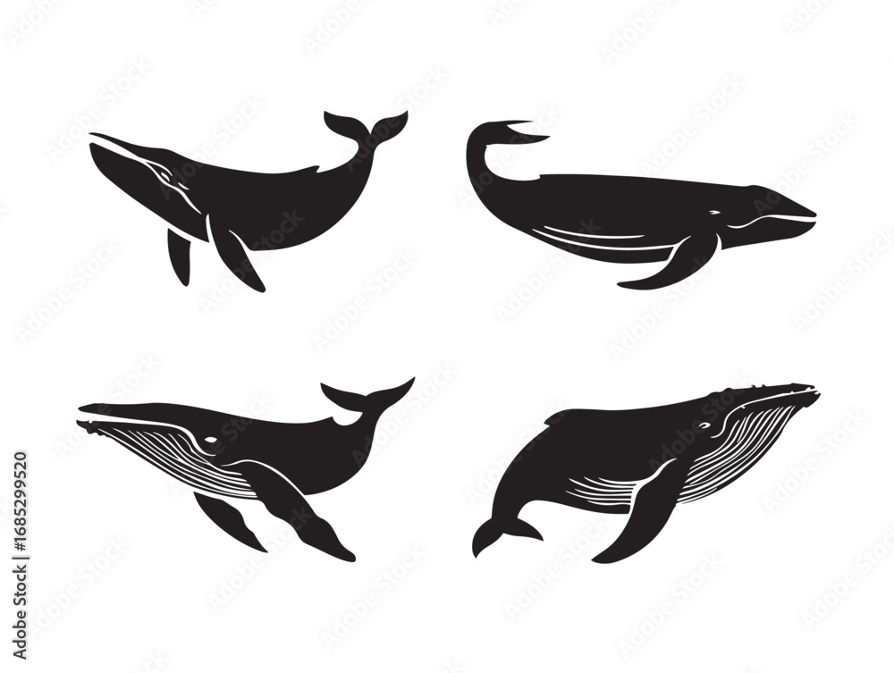 Fototapeta premium Elegant Whale Symbol in Minimal Black Silhouette Vector Art