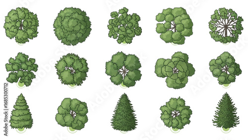 Top View Green Trees Set | Botanical Elements for Outdoor Plan, Garden, and Architectural Drawing
