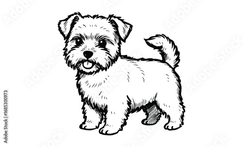 Adorable sketch of fluffy small dog with wagging tail and playful expression. Vector retro hand drawn illustration