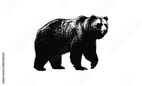 Black and white grizzly bear illustration in bold silhouette. Vector retro hand drawn illustration