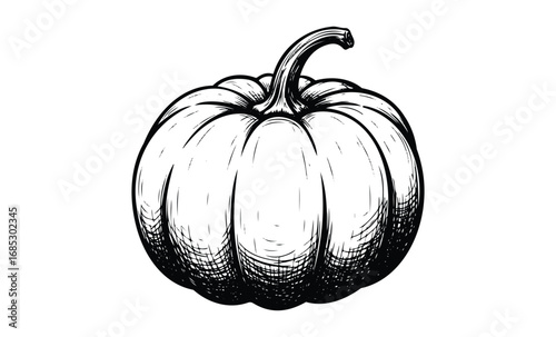 Black and white pumpkin illustration with detailed linework. Vector retro hand drawn illustration