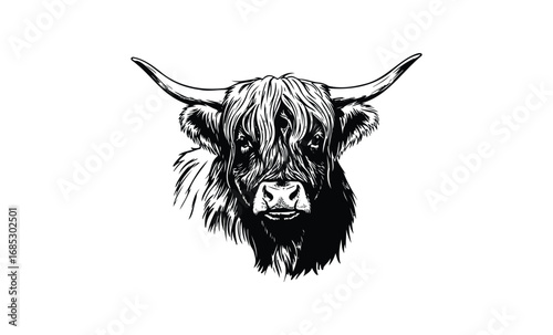 Detailed black and white illustration of a highland cow head with long horns. Vector retro hand drawn illustration