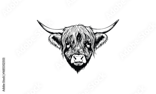 Black and white highland cow head illustration with detailed fur and horns. Vector retro hand drawn illustration