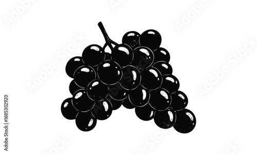 Black and white illustration of a grape bunch in high contrast. Vector retro hand drawn illustration