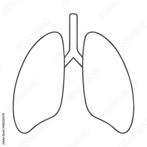 Vector illustration of human lungs outline for medical design concept