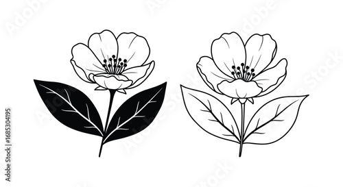Two outline flowers with leaves side by side illustration