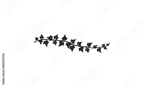 Elegant ivy vine design with stylized leaves. Vector retro hand drawn illustration