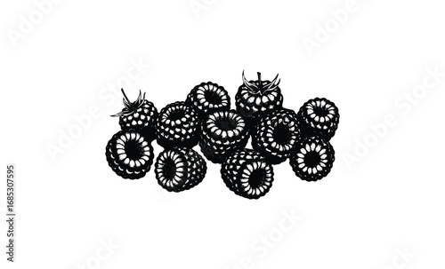 Black and white illustration of multiple raspberries in detailed cluster. Vector retro hand drawn illustration