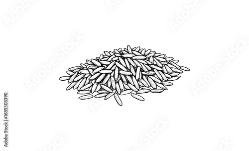 Black and white illustration of a pile of rice grains. Vector retro hand drawn illustration