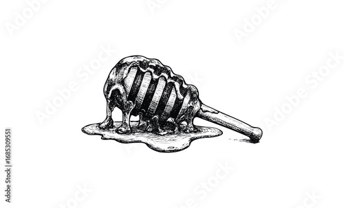 Detailed sketch of honey dripper with honey dripping. Vector retro hand drawn illustration