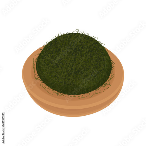 Vector Illustration Logo Clipart Gamtae Ecklonia Cava on a Wooden Plate