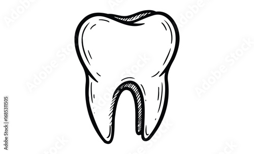 Detailed black and white tooth sketch illustration with dental anatomy. Vector retro hand drawn illustration