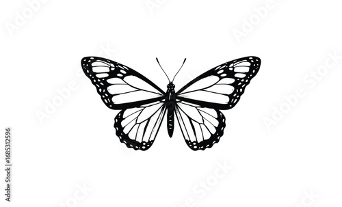 Monarch butterfly illustration: black and white silhouette. Vector retro hand drawn illustration