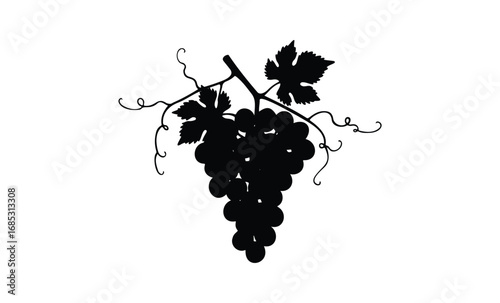 Black silhouette of grapevine with detailed leaves and tendrils. Vector retro hand drawn illustration