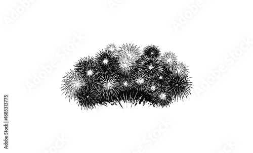 Black and white digital artwork of exploding fireworks display with illuminated bursts. Vector retro hand drawn illustration