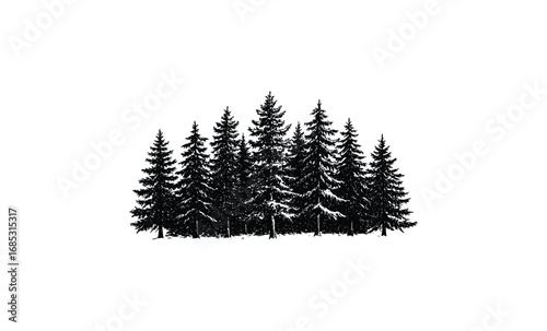 Silhouette of evergreen pine forest against. Vector retro hand drawn illustration