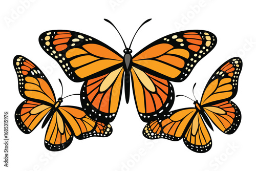 A detailed, stylized illustration of a monarch butterfly, showcasing its characteristic orange and black wings.