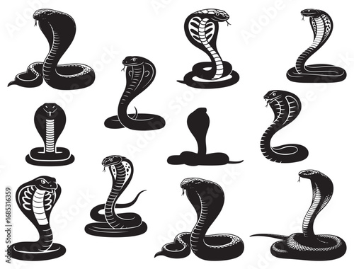 COBRA SNAKE SILHOUETTE