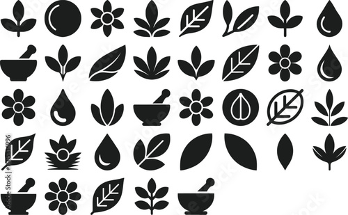 Herbal Icons Botanical Elements  Natural Remedies Design