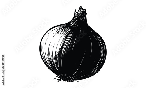Detailed black and white illustration of a whole onion with stem. Vector retro hand drawn illustration