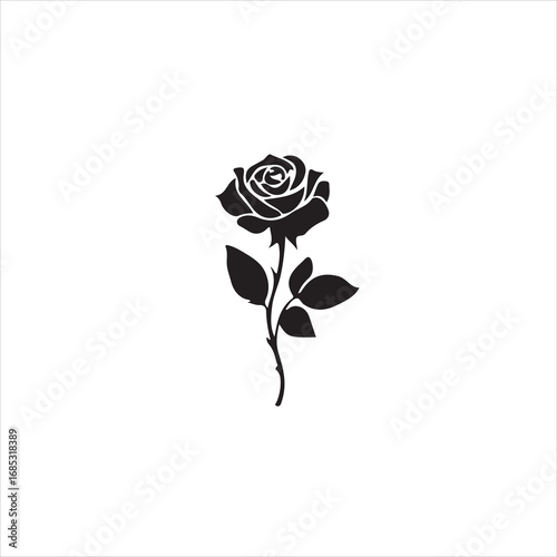 Elegant black rose with leaves on a stem, isolated on white background