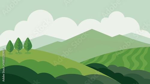 Serene Tea Plantation on a Misty Hillside a Peaceful Agricultural Nature Scene